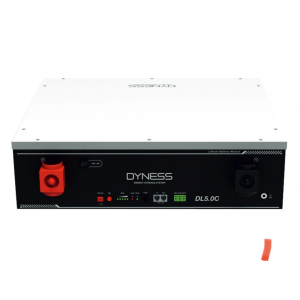 Литиевая аккумуляторная батарея Dyness DL5.0C 51.2В 5.12 кВт•ч 100А с подогревом 