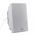 Настінний SIP-IP гучномовець Tonmind SIP-S11T 30W, PoE, ONVIF